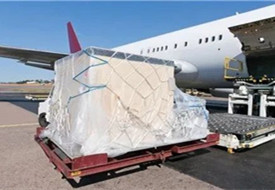 空运特殊货物有哪些?空运特殊货物代码和服务要求