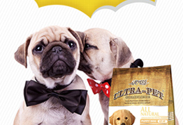 宠物粮进口报关,代办进口宠物粮资质